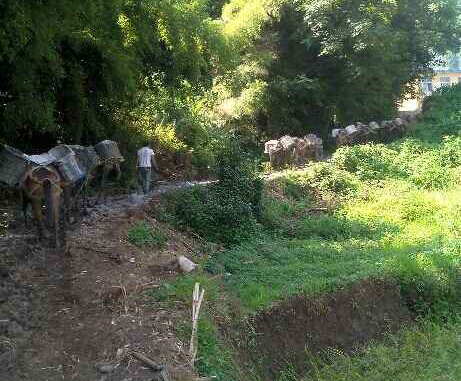 濠江区马帮运输队