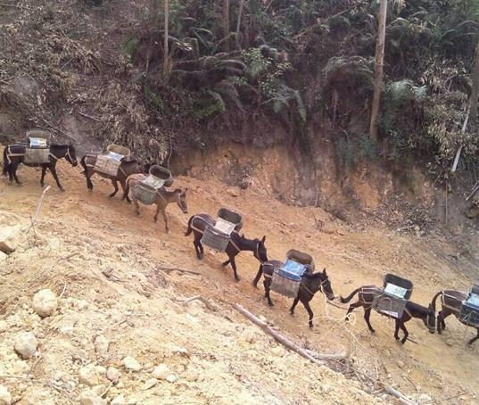 濠江区山路马帮运输