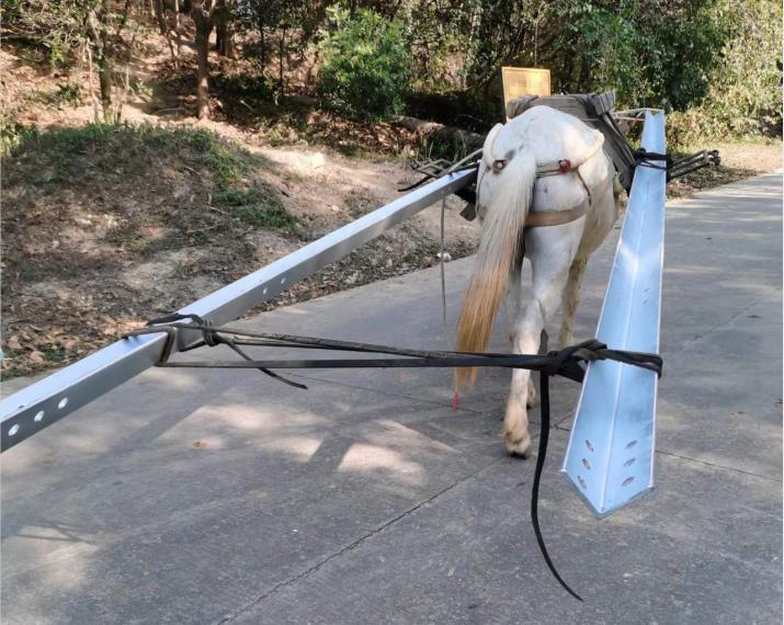 濠江区马队搬运