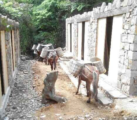 濠江区马队运输队