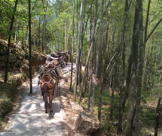 濠江区山路马队运输