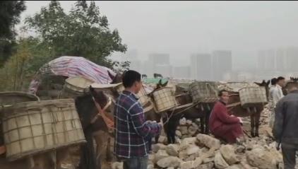 濠江区骡马山区运输