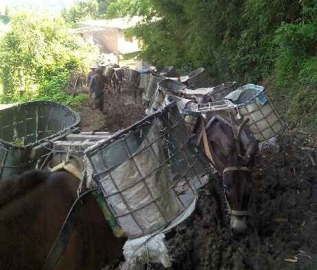 濠江区马帮搬运