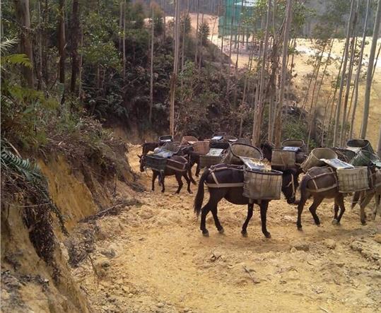 濠江区马帮山路运输