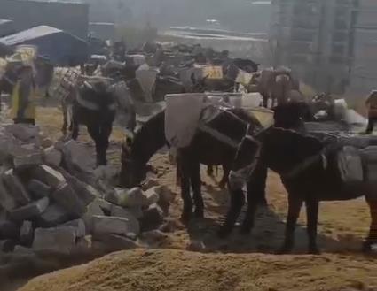 濠江区马队山路运输