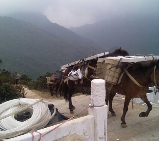 濠江区山区马帮运输