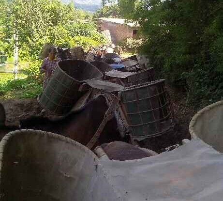 濠江区骡马运输